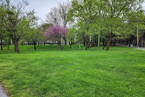 Florya Sahil - Resim 8