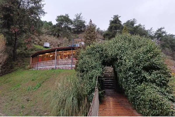 Yunus Park Mesir Tabiat - Resim 5