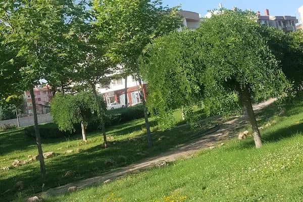 Konya Otogar Cami - Resim 4