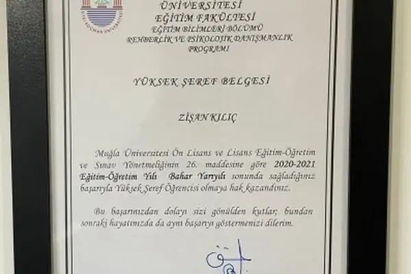 Psk. Dan. Zişan Kılıç, Psikolojik Danışma ve Rehberlik - Resim 14