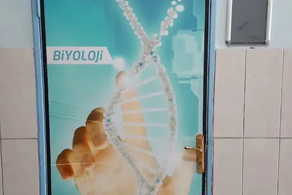 Şehit Öğretmen Necmeddin Kuyucu Anadolu Lisesi - Resim 12