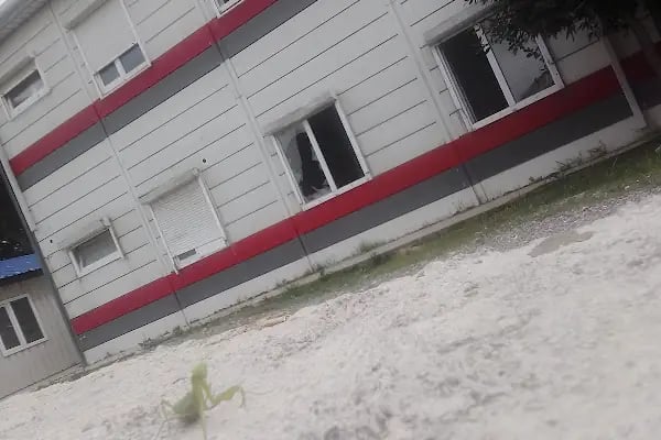 Şehit Öğretmen Necmeddin Kuyucu Anadolu Lisesi - Resim 17