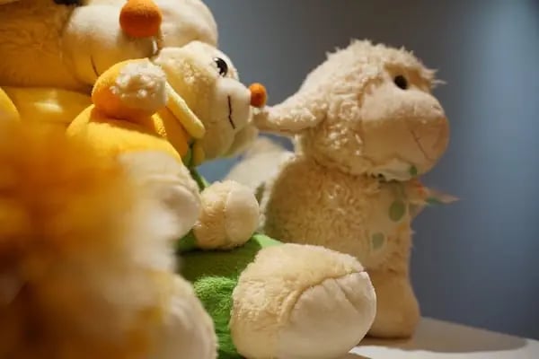 Uzm. Psk. Dan. Gamze Ağbaba, Psikolojik Danışma ve Rehberlik - Resim 8