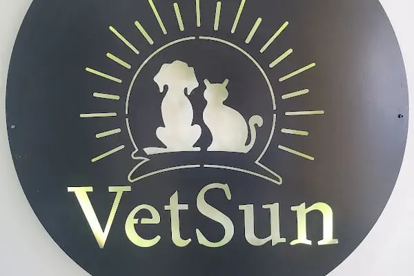 Vet Sun Veteriner Kliniği - Resim 13