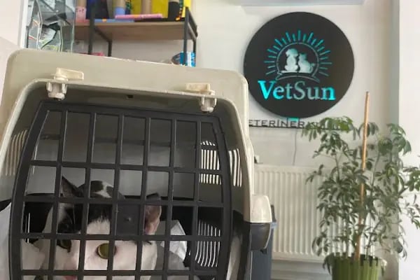 Vet Sun Veteriner Kliniği - Resim 10