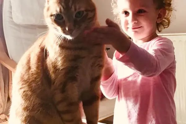 Vet Sun Veteriner Kliniği - Resim 3