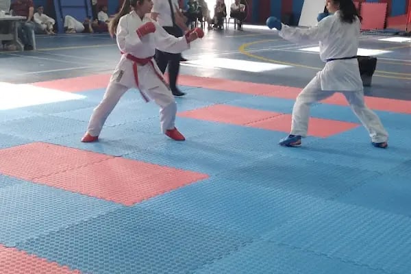 Ertuğrul Gazi Kapalı Yüzme Havuzu ve Spor Kompleksi - Resim 6