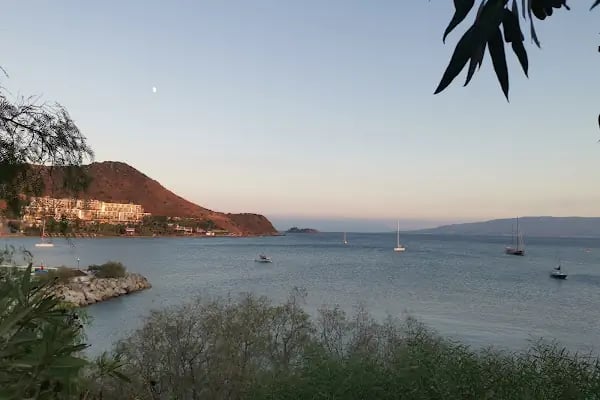 Özbalcı Karadeniz Pide Salonu - Resim 13