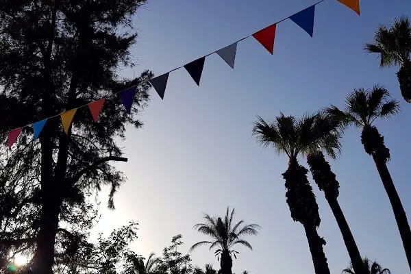 Bodrum Balık Ekmek - Resim 17