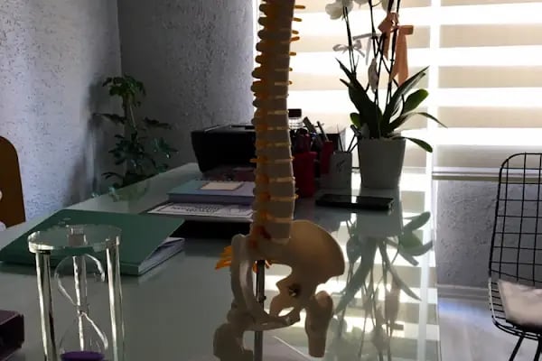 Fizyoterapist Necla KOÇ Fizyoterapi Danışmanlık - Resim 2