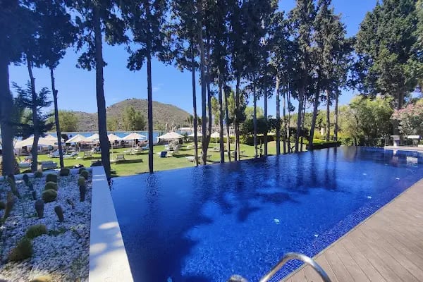 LİV OTEL - Resim 3