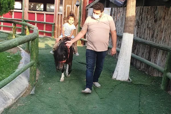 Nalçacı Binicilik & At Eğitim Merkezi - Resim 13