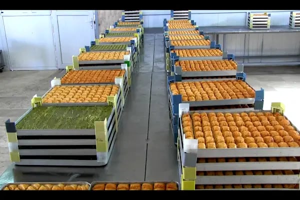 Baklavacı Şemsettin Arnavutköy - Resim 9