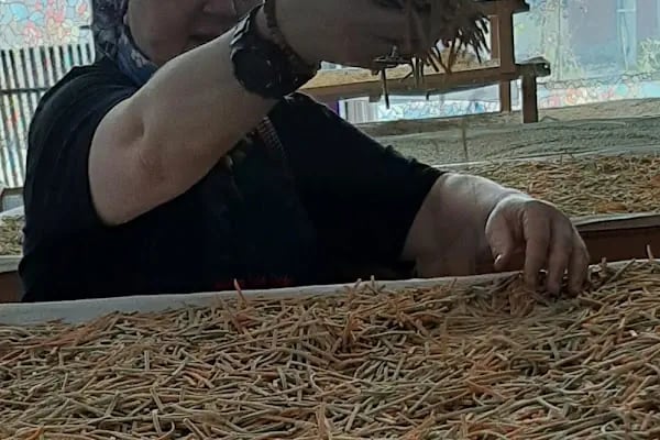 nazlı teyze tarhana erişte imalat - Resim 13