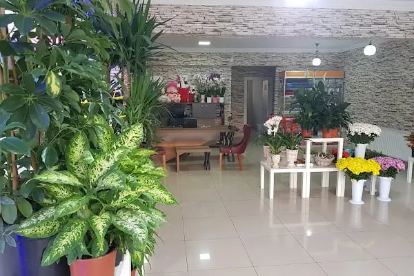 Tolga Grup Çiçekçilik AŞ - Resim 16