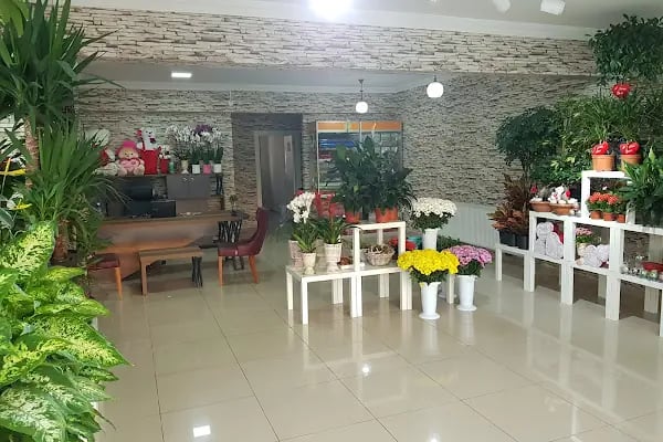 Tolga Grup Çiçekçilik AŞ - Resim 10