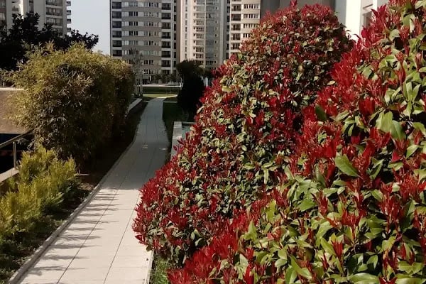 Korupark Sitesi - Resim 17