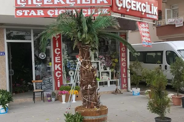 Star Çiçekçilik - Resim 7