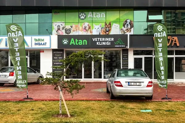ATAN VETERİNER KLİNİĞİ - Resim 17