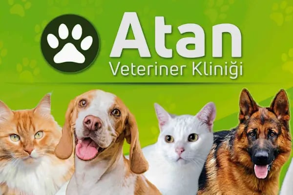 ATAN VETERİNER KLİNİĞİ - Resim 3
