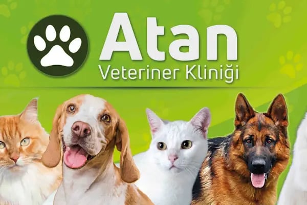 ATAN VETERİNER KLİNİĞİ - Resim 1