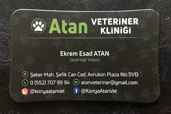 ATAN VETERİNER KLİNİĞİ - Resim 14