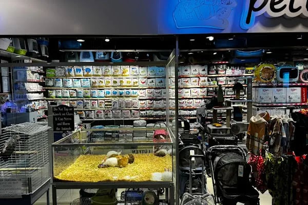 Petbox Akbatı - Resim 4