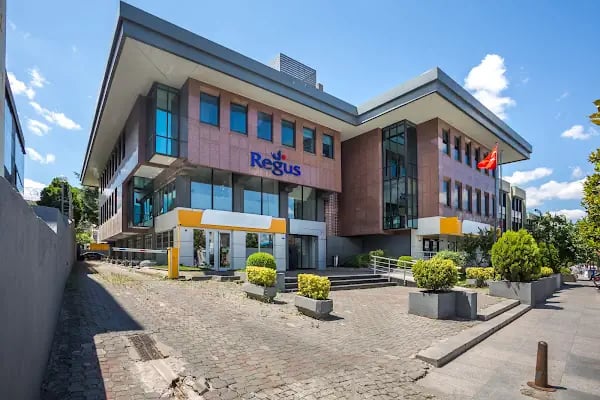 Uzman Klinik Psikolog Didem Üngör Dörtkol (Yüz Yüze ve Online Yetişkin Terapisi / Psikolojik Danışmanlık) - Resim 12