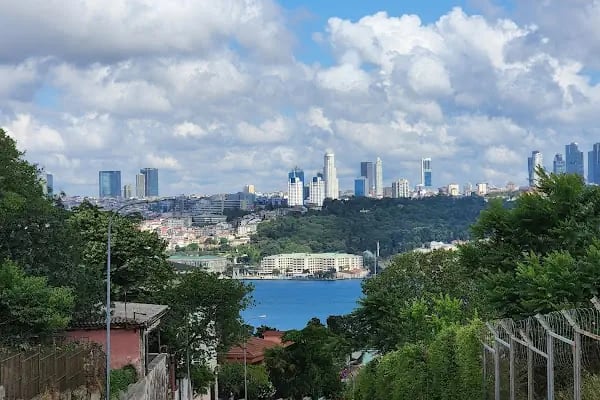 Uzman Klinik Psikolog Didem Üngör Dörtkol (Yüz Yüze ve Online Yetişkin Terapisi / Psikolojik Danışmanlık) - Resim 4