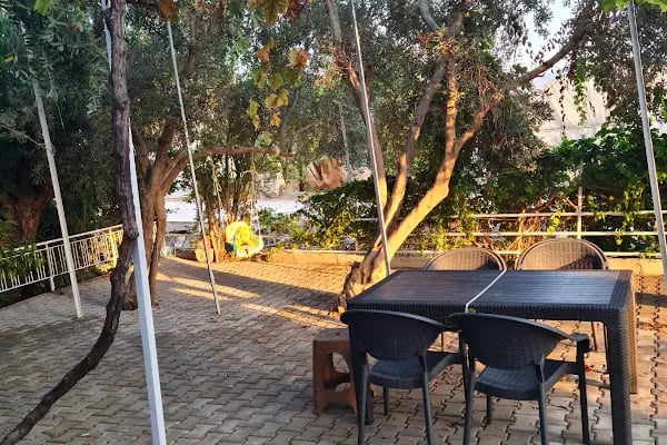 1922 Zeytin Apart - Resim 5