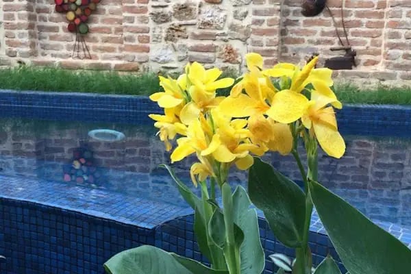 Hotel Lykia Old Town Antalya - Resim 19
