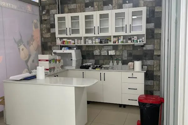 Yazlık Veteriner kliniği - Resim 2