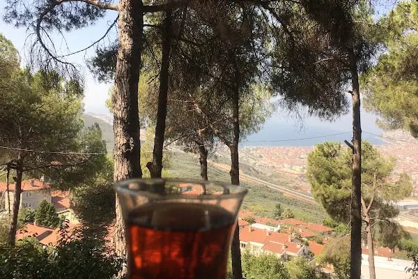 Aytepe Natural Park - Resim 14