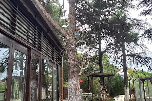 Aytepe Natural Park - Resim 19