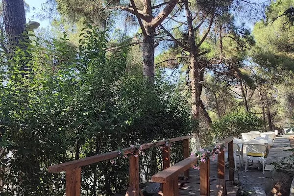 Aytepe Natural Park - Resim 12
