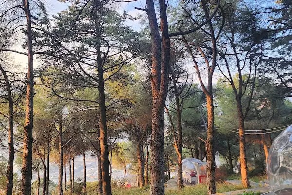 Aytepe Natural Park - Resim 5