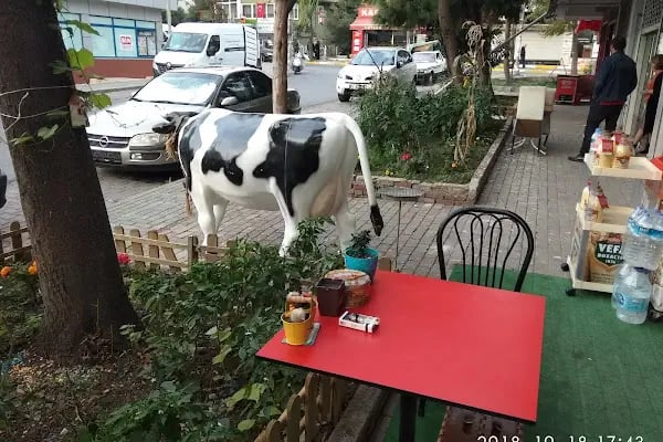 Türkmen Gida Toptan &amp; Parakende Satis - Resim 4
