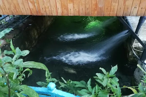 Elçi Alabalık Restoran - Resim 7
