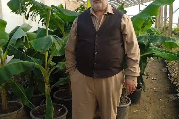 Ayyıldız Botanik - Resim 8
