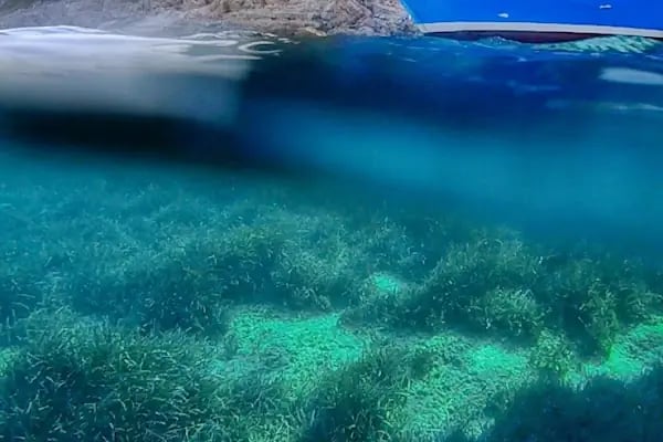 AQUAPRO Bodrum Tekne Turu - Resim 8