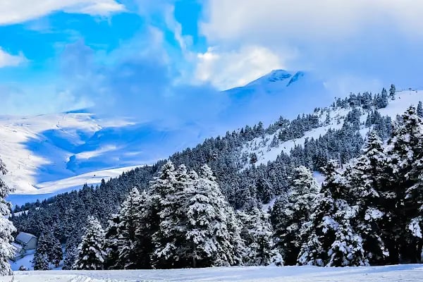 Uludağ Kayak Merkezi - Resim 19