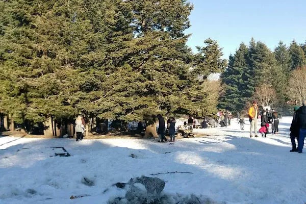 Uludağ Kayak Merkezi - Resim 5