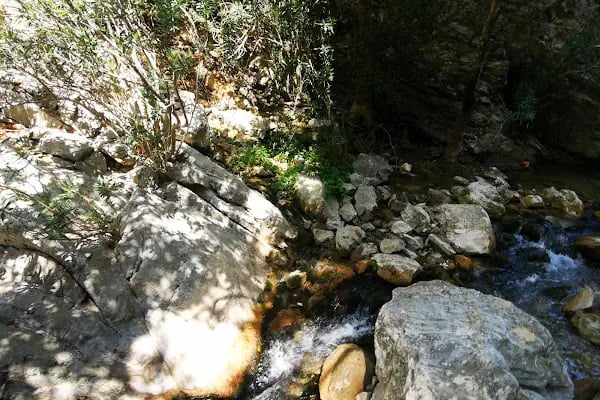Dim Çayı Milli Parkı - Resim 14