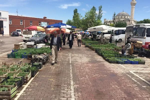 Karatay Otobüs Terminali - Resim 19