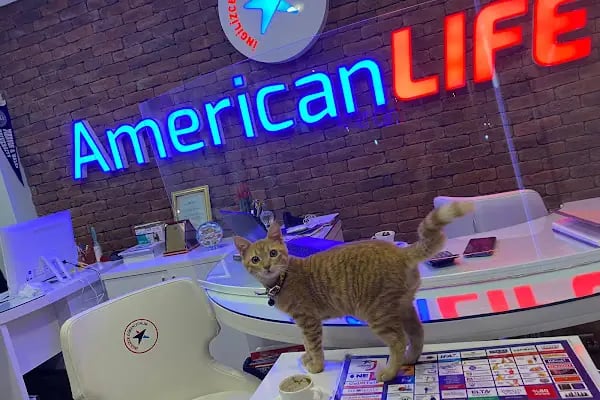 American LIFE Konya Yazır Şubesi - Resim 2