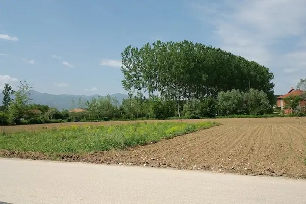 Merkez Aile Kabristanlığı - Resim 3