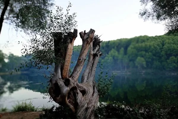 Karagöl Tabiat Parkı - Resim 18