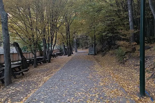 Karagöl Tabiat Parkı - Resim 7