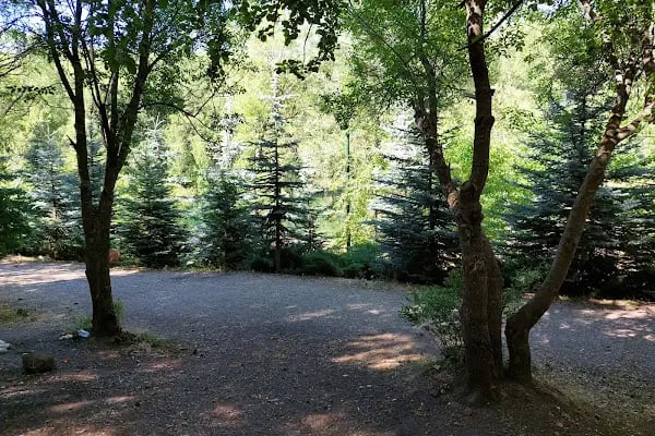 Karagöl Tabiat Parkı - Resim 13