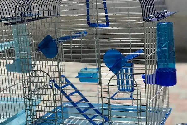BULUT PET SHOP - Resim 18